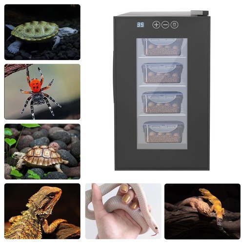 Incubatrice intelligente per - incubatrice,